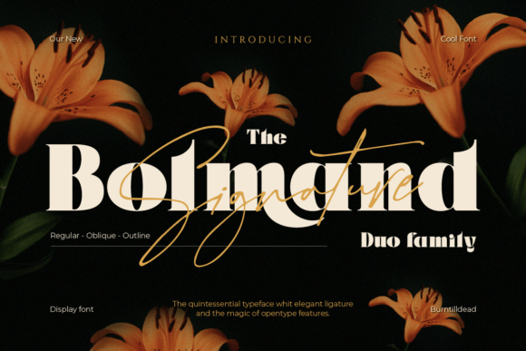 Bolmand Signature: The Craft-Ready Duo Font for Makers