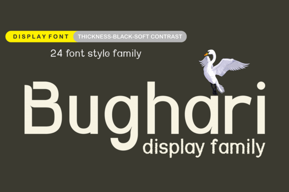 Bughari: The Display Font That Elevates Editorial Design